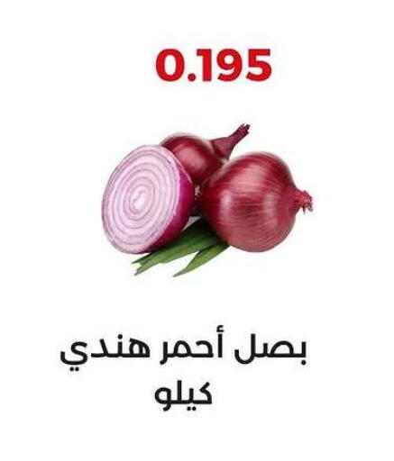 بصل available at جمعية العديلة التعاونية in الكويت - محافظة الجهراء