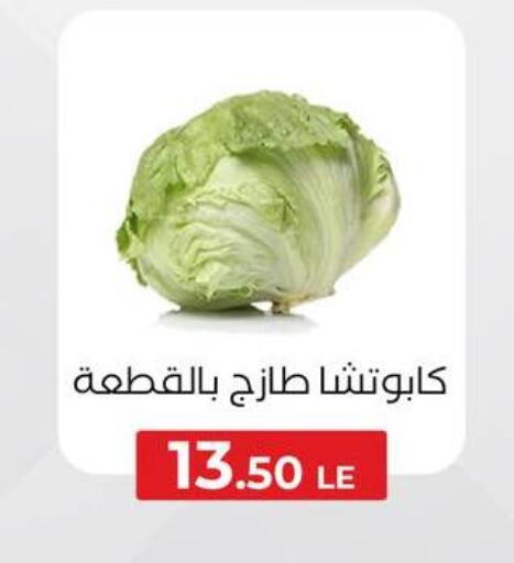 available at Arafa Market in Egypt - Cairo