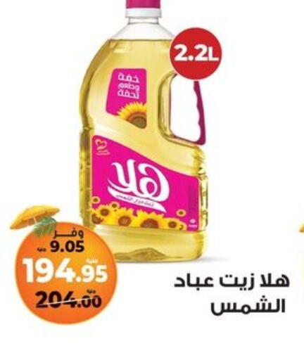Sunflower Oil available at Kazyon  in Egypt - Cairo