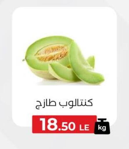 available at Arafa Market in Egypt - Cairo
