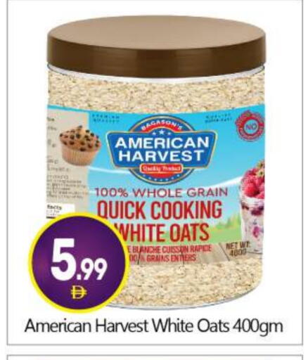 AMERICAN HARVEST Oats available at BIGmart in UAE - Dubai