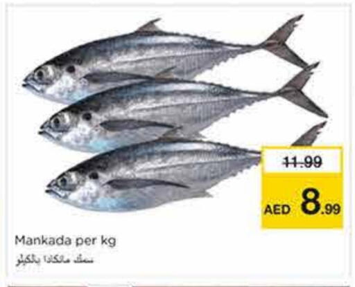 available at Nesto Hypermarket in UAE - Sharjah / Ajman