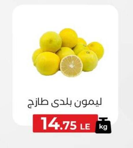 available at Arafa Market in Egypt - Cairo
