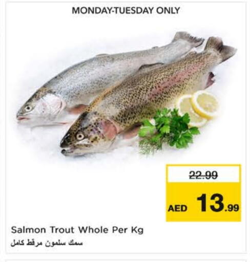 available at Nesto Hypermarket in UAE - Fujairah