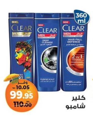 CLEAR Shampoo / Conditioner available at Kazyon  in Egypt - Cairo