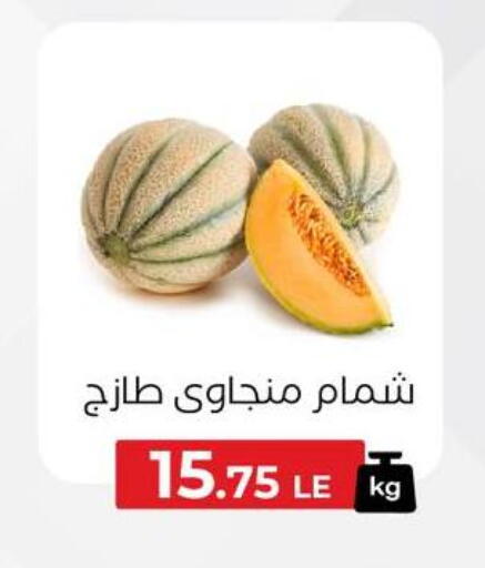 Sweet melon available at Arafa Market in Egypt - Cairo