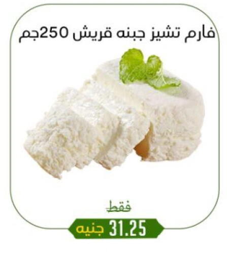 available at خان الحسين in Egypt - القاهرة