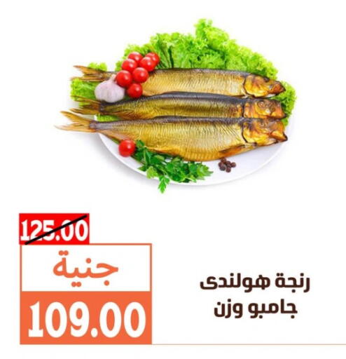 available at سوق غلاب in Egypt - القاهرة