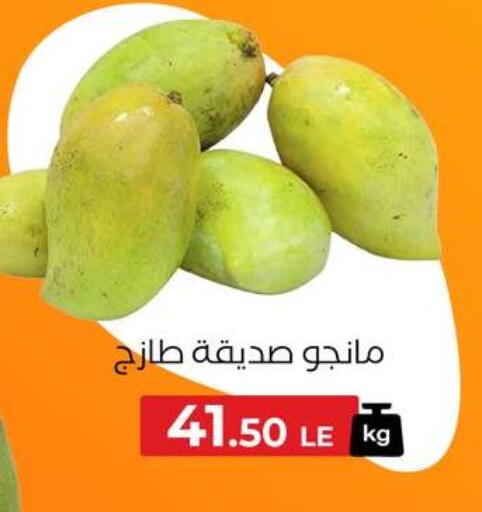 Mango Mango available at Arafa Market in Egypt - Cairo