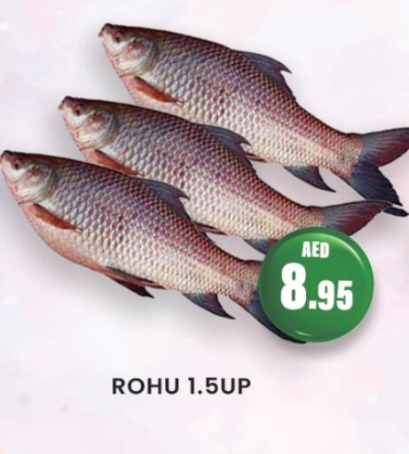 available at زين مارت سوبرماركت in الإمارات العربية المتحدة , الامارات - رَأْس ٱلْخَيْمَة