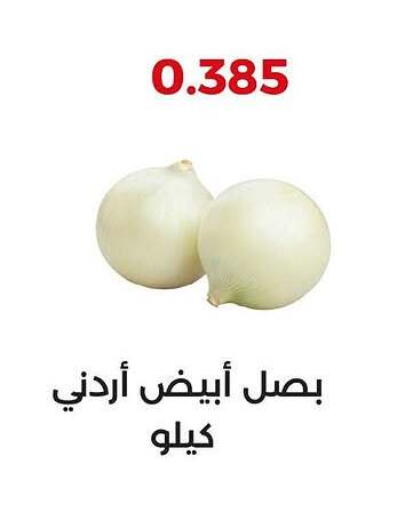 بصل available at جمعية العديلة التعاونية in الكويت - محافظة الجهراء