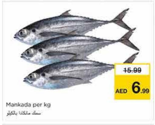 available at نستو هايبرماركت in الإمارات العربية المتحدة , الامارات - الشارقة / عجمان