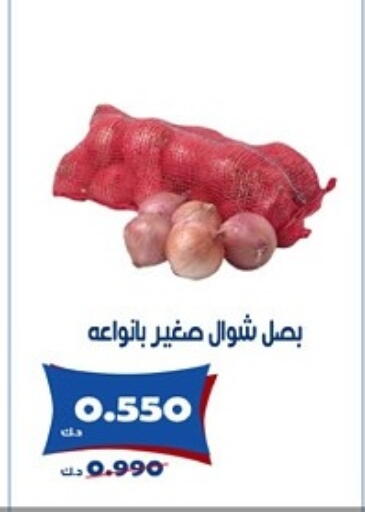 Onion available at Al Khaldiya Society  in Kuwait - Kuwait City