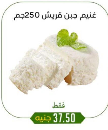 available at خان الحسين in Egypt - القاهرة