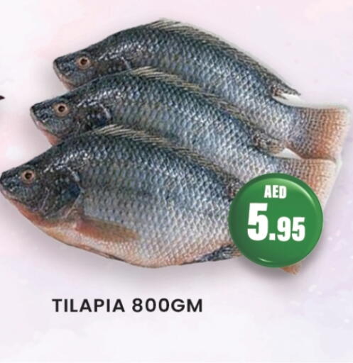 available at زين مارت سوبرماركت in الإمارات العربية المتحدة , الامارات - رَأْس ٱلْخَيْمَة