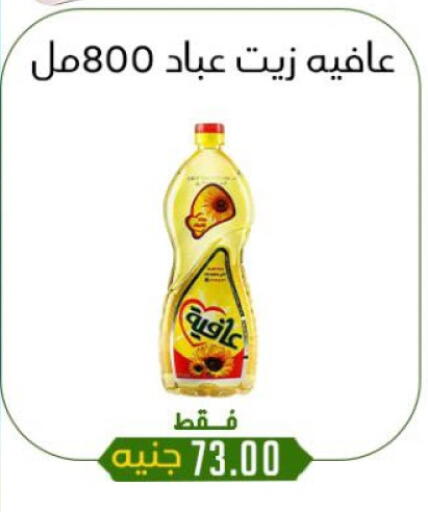 available at خان الحسين in Egypt - القاهرة
