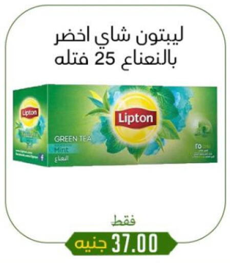 Lipton Green Tea Bag available at Khan Elhussein in Egypt - Cairo