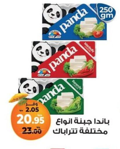 PANDA available at Kazyon  in Egypt - Cairo