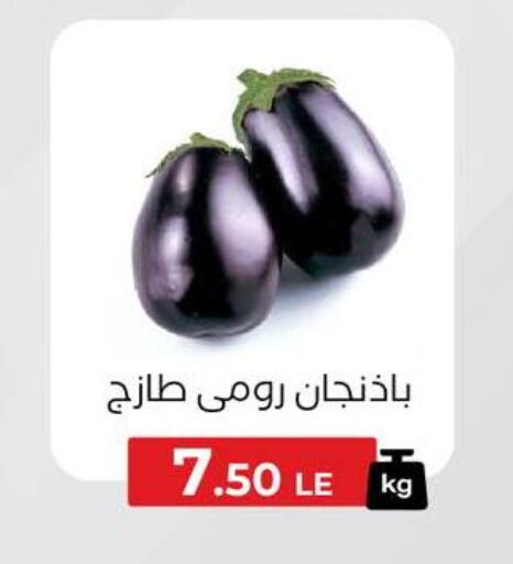 available at Arafa Market in Egypt - Cairo