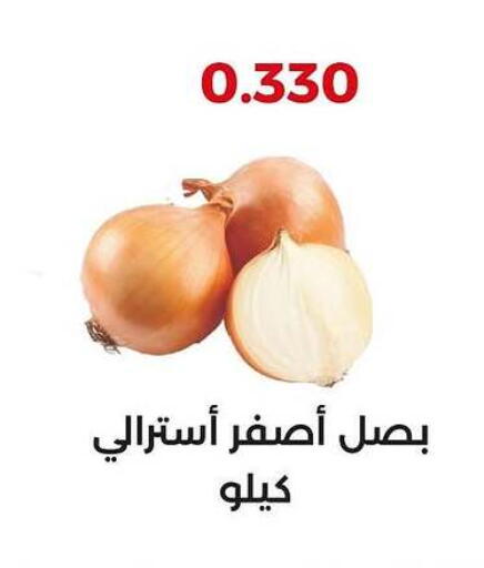 بصل available at جمعية العديلة التعاونية in الكويت - محافظة الجهراء