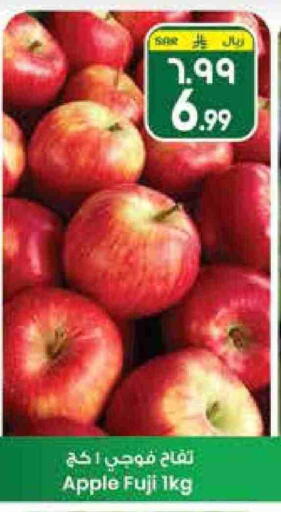 Apples available at City Flower in KSA, Saudi Arabia, Saudi - Hail