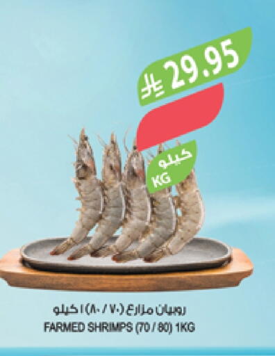 available at المزرعة in مملكة العربية السعودية, السعودية, سعودية - تبوك