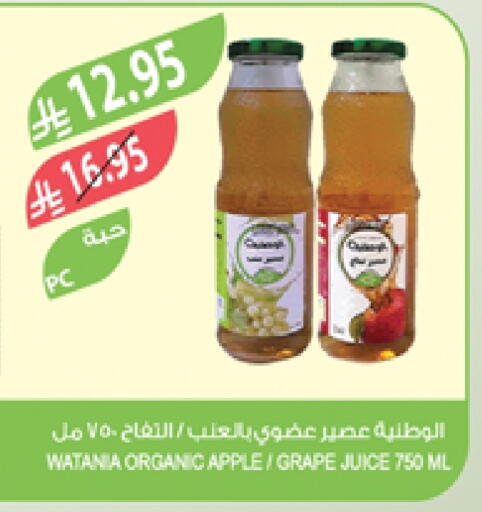 Apple available at Farm  in KSA, Saudi Arabia, Saudi - Al-Kharj