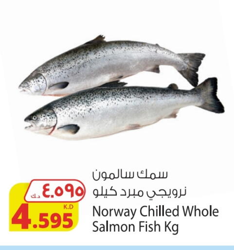 available at Agricultural Food Products Co. in Kuwait - Kuwait City