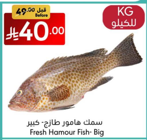 available at Manuel Market in KSA, Saudi Arabia, Saudi - Jeddah