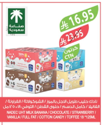 NADEC Long Life / UHT Milk available at Farm  in KSA, Saudi Arabia, Saudi - Tabuk