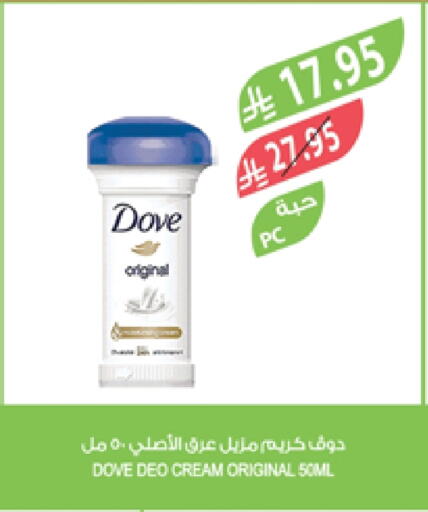 DOVE available at Farm  in KSA, Saudi Arabia, Saudi - Tabuk