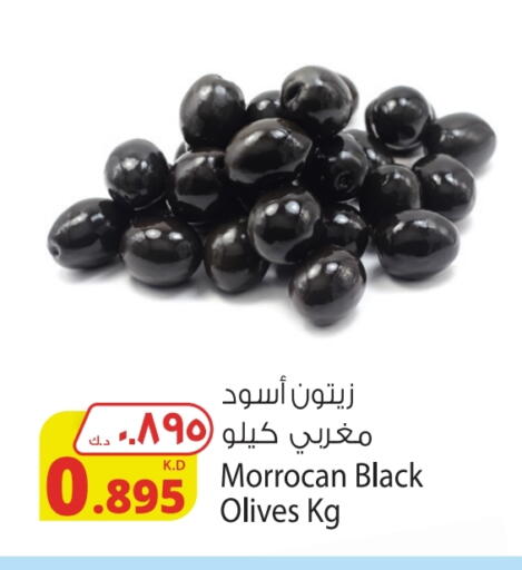 available at شركة المنتجات الزراعية الغذائية in الكويت - محافظة الأحمدي
