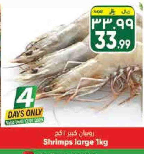 available at City Flower in KSA, Saudi Arabia, Saudi - Hail