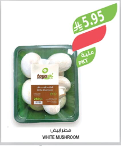 Mushroom available at Farm  in KSA, Saudi Arabia, Saudi - Sakaka