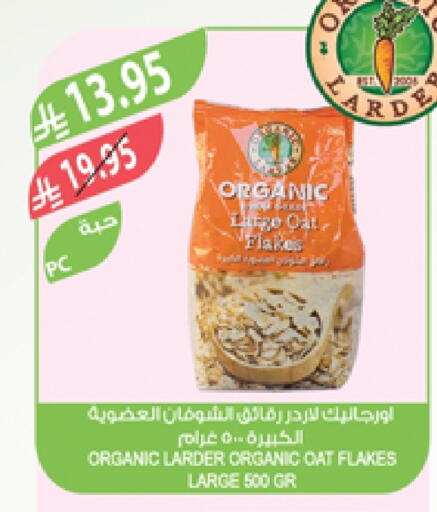 Oats available at Farm  in KSA, Saudi Arabia, Saudi - Al Hasa