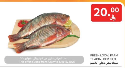 available at Carrefour in KSA, Saudi Arabia, Saudi - Riyadh