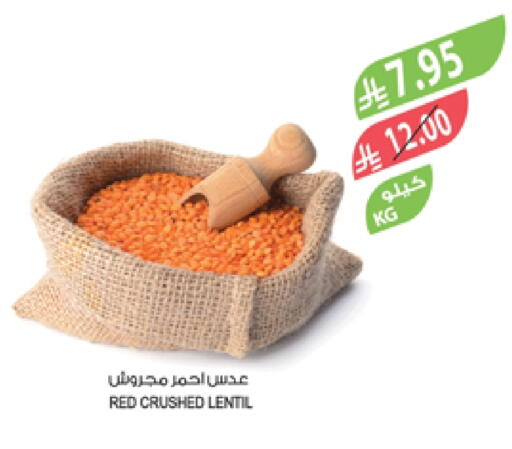 Pulses, Beans & Grains in Farm , Saudi Arabia Offers - Saudi Arabia available at Farm in KSA, Saudi Arabia, Saudi - Al-Kharj