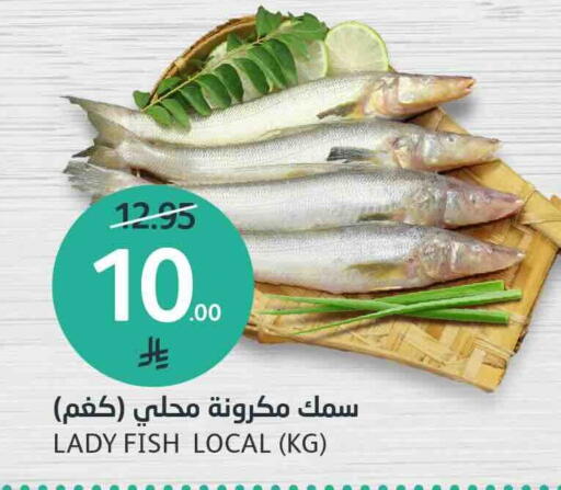 available at AlJazera Shopping Center in KSA, Saudi Arabia, Saudi - Riyadh