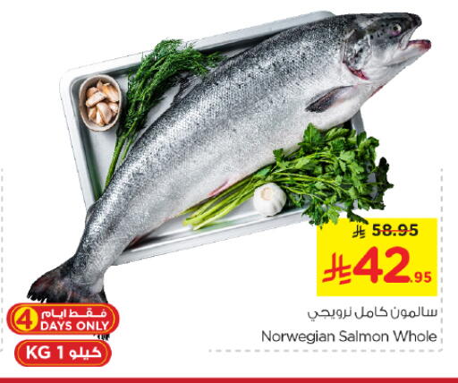 available at نستو in مملكة العربية السعودية, السعودية, سعودية - الخرج