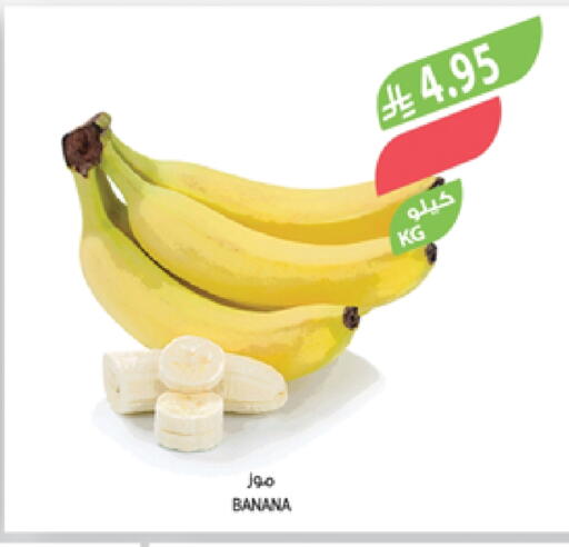 Banana available at Farm  in KSA, Saudi Arabia, Saudi - Abha