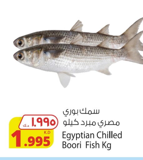 available at Agricultural Food Products Co. in Kuwait - Kuwait City