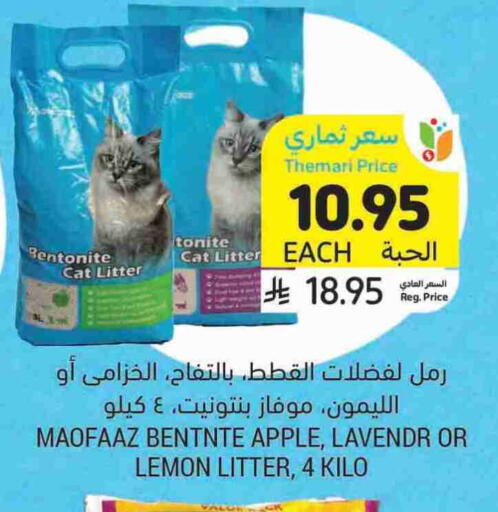 Apple Lemon available at Tamimi Market in KSA, Saudi Arabia, Saudi - Al Hasa
