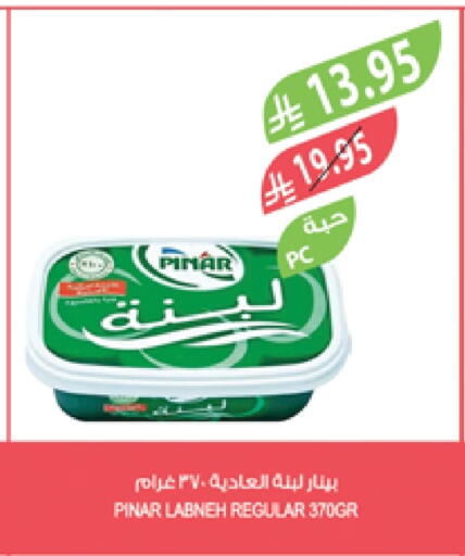 PINAR Labneh available at Farm  in KSA, Saudi Arabia, Saudi - Al-Kharj