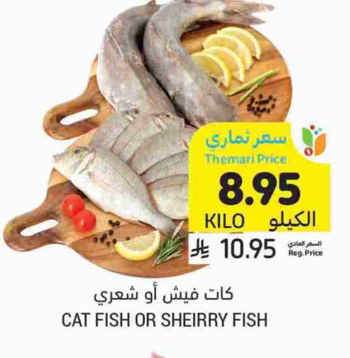 available at Tamimi Market in KSA, Saudi Arabia, Saudi - Jeddah