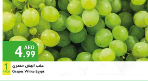 فاكهة طازجة in إسطنبول سوبرماركت, UAE Offers - الإمارات العربية المتحدة عنب from Egypt available at إسطنبول سوبرماركت in الإمارات العربية المتحدة , الامارات - رَأْس ٱلْخَيْمَة