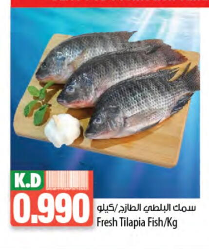 Mango available at Mango Hypermarket  in Kuwait - Kuwait City