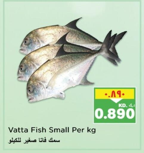 available at Nesto Hypermarkets in Kuwait - Kuwait City