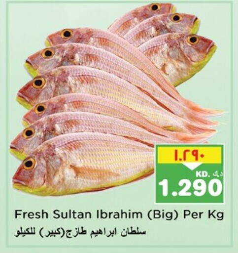 available at نستو هايبر ماركت in الكويت