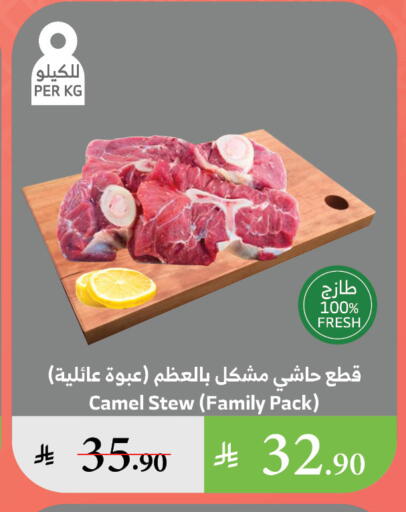 اللحوم الطازجة والمبردة in الراية, المملكة العربية السعودية Offers - المملكة العربية السعودية لحم حاشي available at الراية in مملكة العربية السعودية, السعودية, سعودية - القنفذة