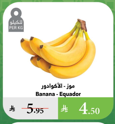 موز available at الراية in مملكة العربية السعودية, السعودية, سعودية - جدة